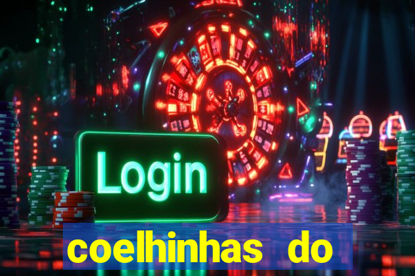 coelhinhas do brasil acompanhantes